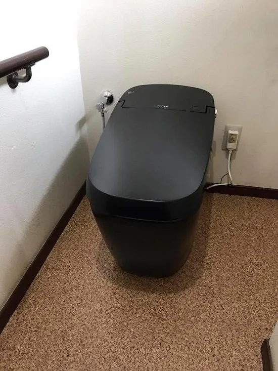 Bon-cau-Inax-AC-G216VN-8 Bồn cầu cảm ứng Inax AC-G216VN/BKG 4