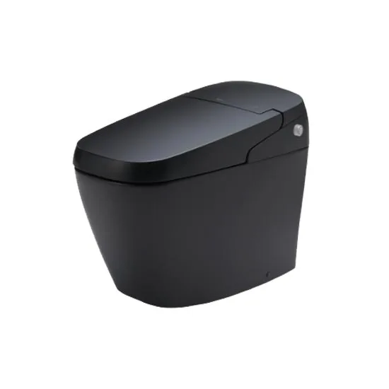 ac-g216 Bồn cầu cảm ứng Inax AC-G216VN/BKG 1