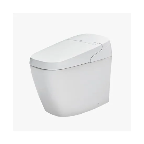 Bồn cầu nắp rửa điện tử Inax AC-G216VN/BW1 1