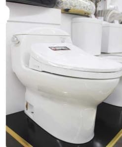 Nắp bồn cầu thông minh Nikko P68052 (Điều khiển từ xa) 10