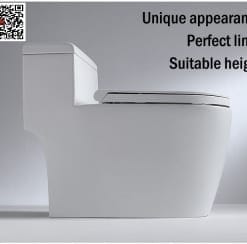 Bồn cầu két liền Macbolo MB967 16