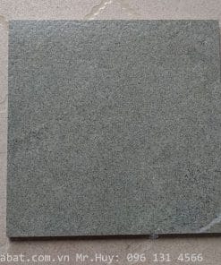 Gạch Taicera đồng chất 30x30 GC818 3