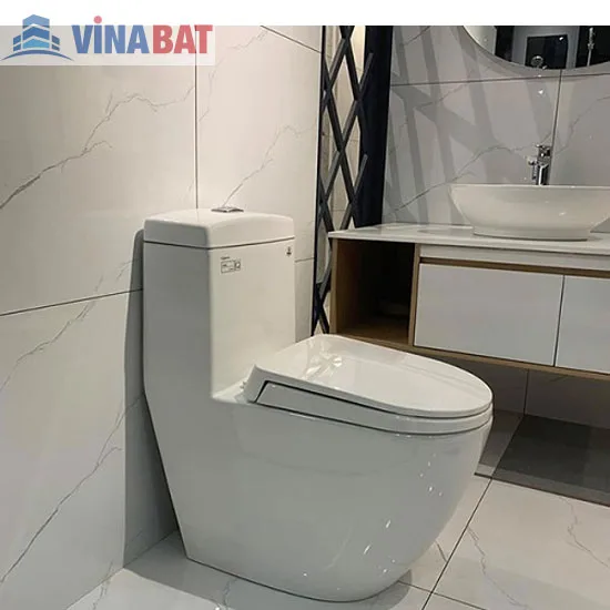 Bồn cầu két liền Viglacera V199 4