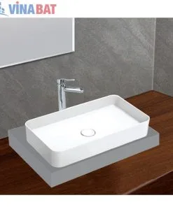 chau-rua-lavabo-viglacera-CM01