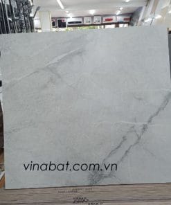 Gạch Ấn Độ 60x60cm men matt I417 màu xi măng 7