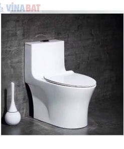 Bồn cầu liền khối cao cấp safevn SF 8072 6