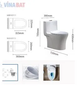 Bồn cầu liền khối cao cấp safevn SF 8072 3 Bồn cầu liền khối cao cấp safevn SF 8072 8
