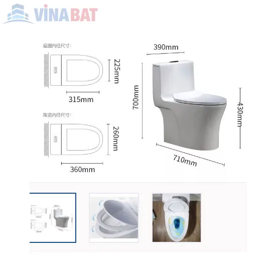 Bồn cầu liền khối cao cấp safevn SF 8072 4