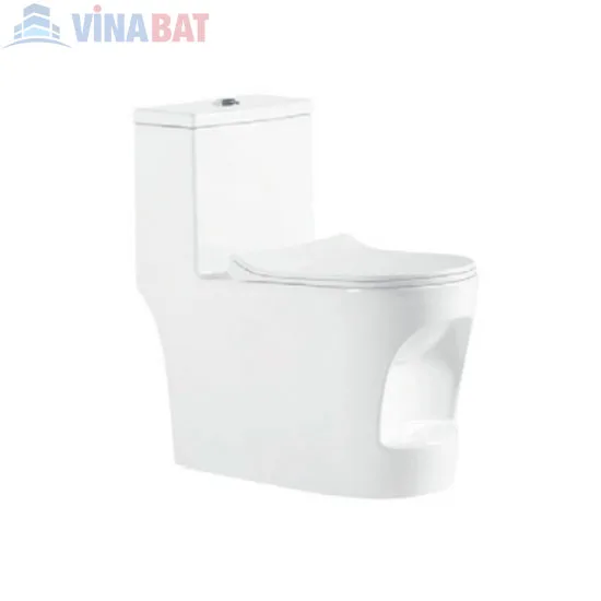 Bồn cầu liền khối cao cấp safevn SF 9906 1