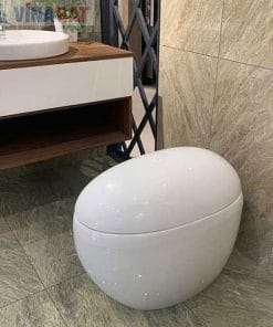  Bồn cầu Viglacera cảm ứng nắp rửa điện tử V96 5