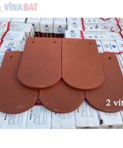 Ngói lợp Hạ Long mũi hài vuông 8