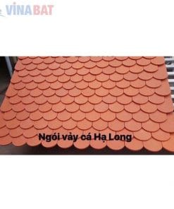 Ngói lợp Hạ Long mũi hài vuông 6
