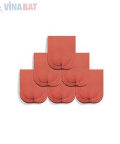 Ngói lợp Hạ Long mũi hài kép 5