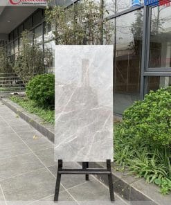 Gạch ốp lát 60×120 Catalan 1213 ghi bóng 4