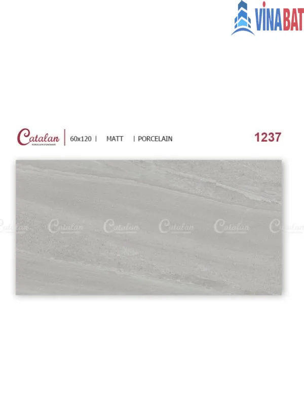 Gạch ốp lát 60×120 Catalan 1237 ghi mờ 4 Gạch ốp lát 60×120 Catalan 1237 ghi mờ 6