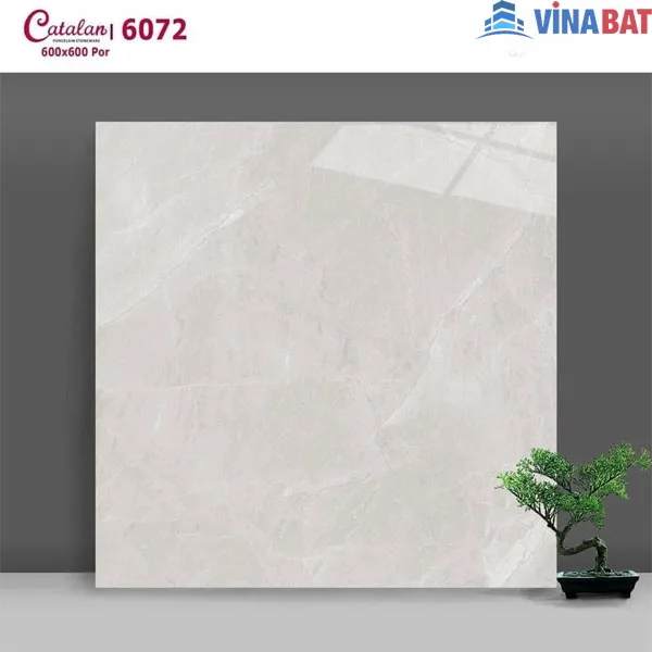 Gạch ốp lát catalan 60x60 DN6072 màu ghi sáng 3 gach-op-lat-catalan-60x60-dn6072