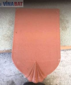 Ngói sò cổ chân chó Vigalacera Hạ Long 4