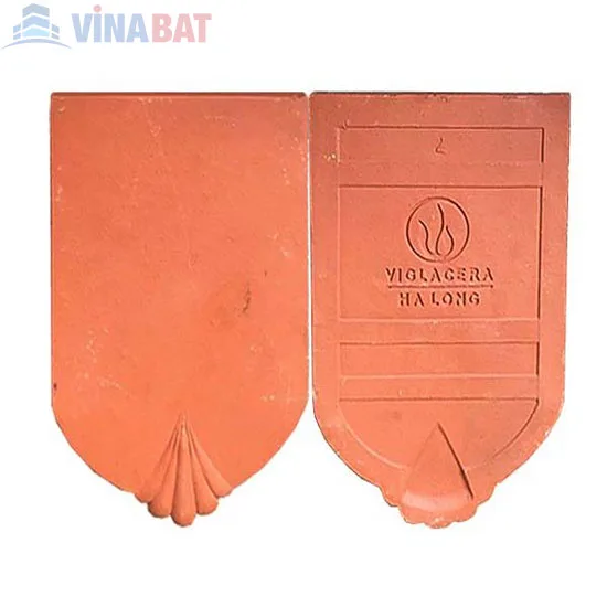 Ngói sò cổ chân chó Vigalacera Hạ Long 3