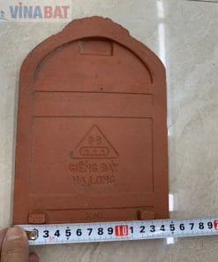 Ngói sò cổ mũi hài giếng đáy Hạ Long 9