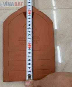 Ngói sò cổ mũi hài vigalacera Hạ Long 11