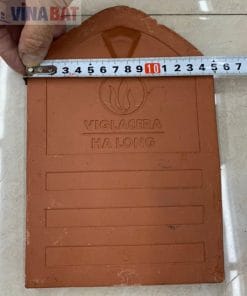 Ngói sò cổ mũi hài vigalacera Hạ Long 10