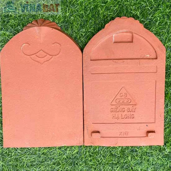 Ngói sò cổ mũi hài giếng đáy Hạ Long 2