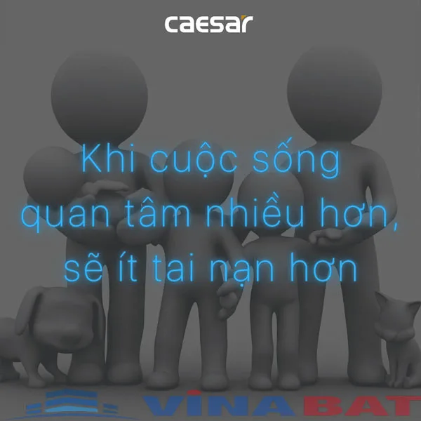 Tay vịn phòng tắm Caesar GB102V 11