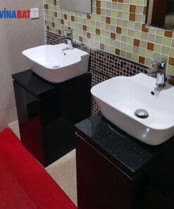 Chậu rửa lavabo Safevn SF1095 6