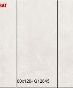 Gạch Taicera 60x120cm G12845 3
