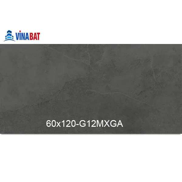 Gạch Taicera 60x120cm G12MXGA granit đồng chất 1