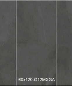 Gạch Taicera 60x120cm G12MXGA granit đồng chất 3