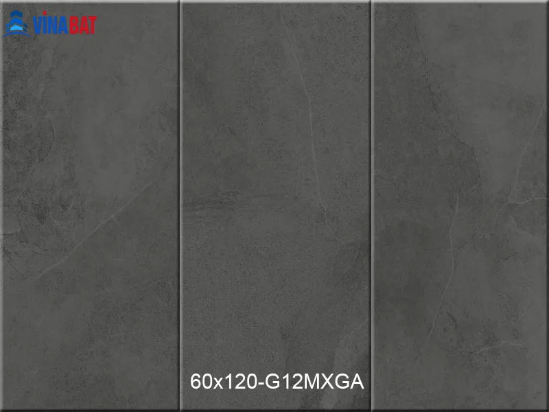 Gạch Taicera 60x120cm G12MXGA granit đồng chất 2