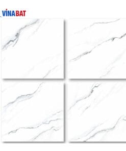Gạch ốp lát catalan 60x60 6961 3