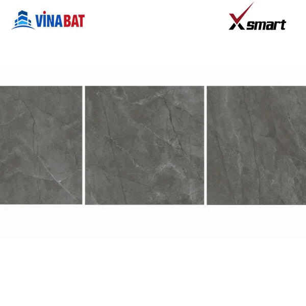 Gạch ốp lát catalan Xsmart 60x60 79021 1