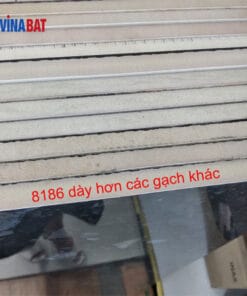 gach-op-lat-prime-60x120-8186-anh-thuc-te