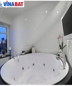 Bồn tắm massage Amazon TP-8058 5