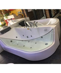 Bồn tắm massage Govern K-8165R 4
