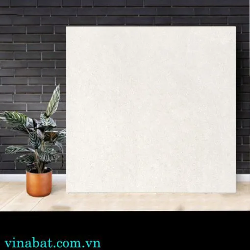 gach-lat-nen-taicera-60x60-67702 gach-lat-nen-taicera-60x60-67702