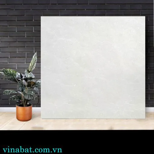 gach-lat-nen-taicera-60x60-P67662N gach-lat-nen-taicera-60x60-P67662N