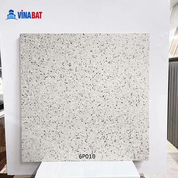 gach-op-lat-60x60-6P010