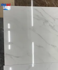 gach-op-lat-viglacera-80x80-8801