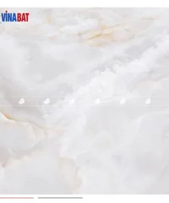 Gạch ốp lát Đồng Tâm 60x60 VAMCODONG002-FP 1 gach-dong-tam-6060-vamcodong002-fp-1