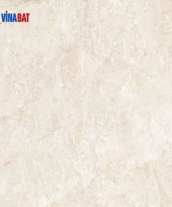 Gạch ốp lát Đồng Tâm 60x60 VAMCODONG004-FP 1 gach-dong-tam-6060-vamcodong004-fp-1