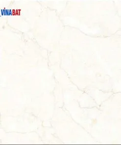 Gạch ốp lát Đồng Tâm 60x60 VAMCODONG005-FP 1 gach-dong-tam-6060-vamcodong005-fp-1