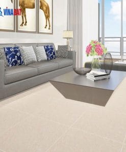 Gạch ốp lát Đồng Tâm 60x60 BINHTHUAN001 3 gach-dong-tam-6060-binhthuan001