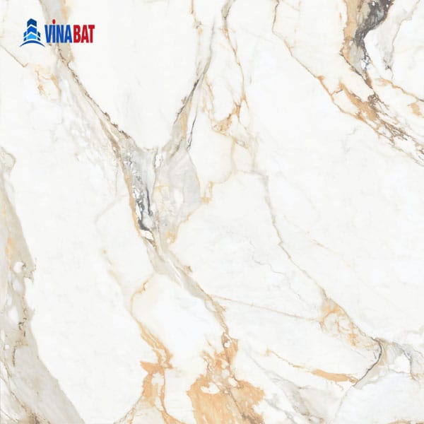 Gạch ốp lát Đồng Tâm 60x60 MOMENT002 7