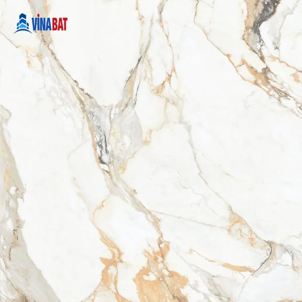 Gạch ốp lát Đồng Tâm 60x60 MOMENT002 5 Gạch ốp lát Đồng Tâm 60x60 MOMENT002 7