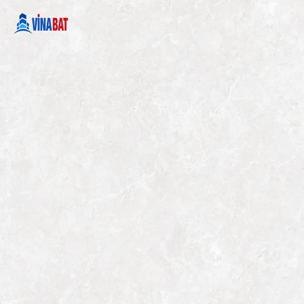 Gạch ốp lát Đồng Tâm 60x60 MOMENT003 3