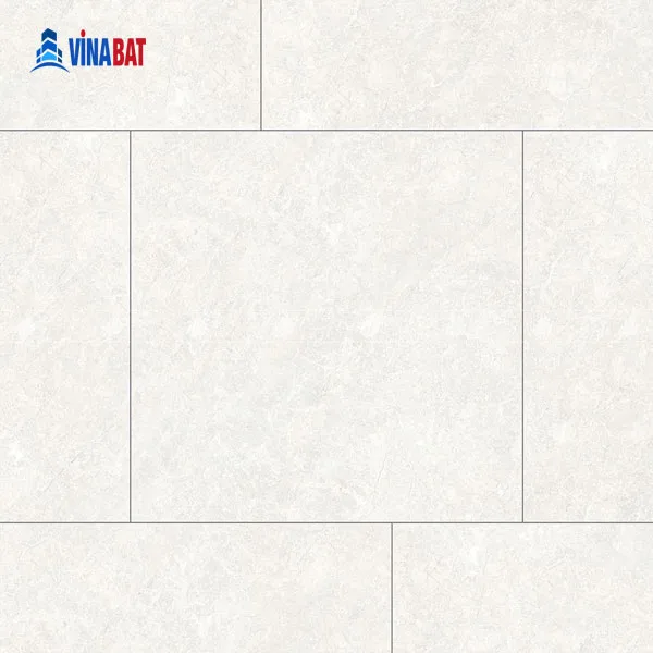 Gạch ốp lát Đồng Tâm 60x60 MOMENT003 1