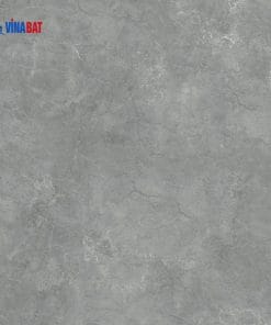 Gạch ốp lát Đồng Tâm 60x60 MOMENT0011 7